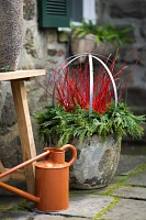 Barnacle Rounded Egg Planter