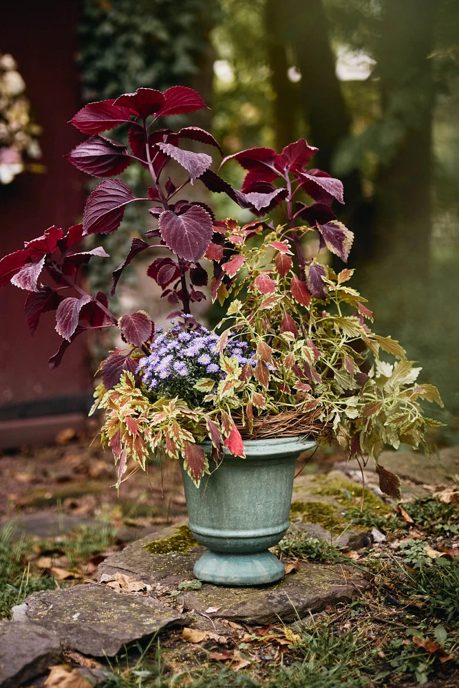 Aeros Ceramic Urn