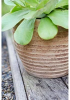 Antiqued Ring Ceramic Jar Planter