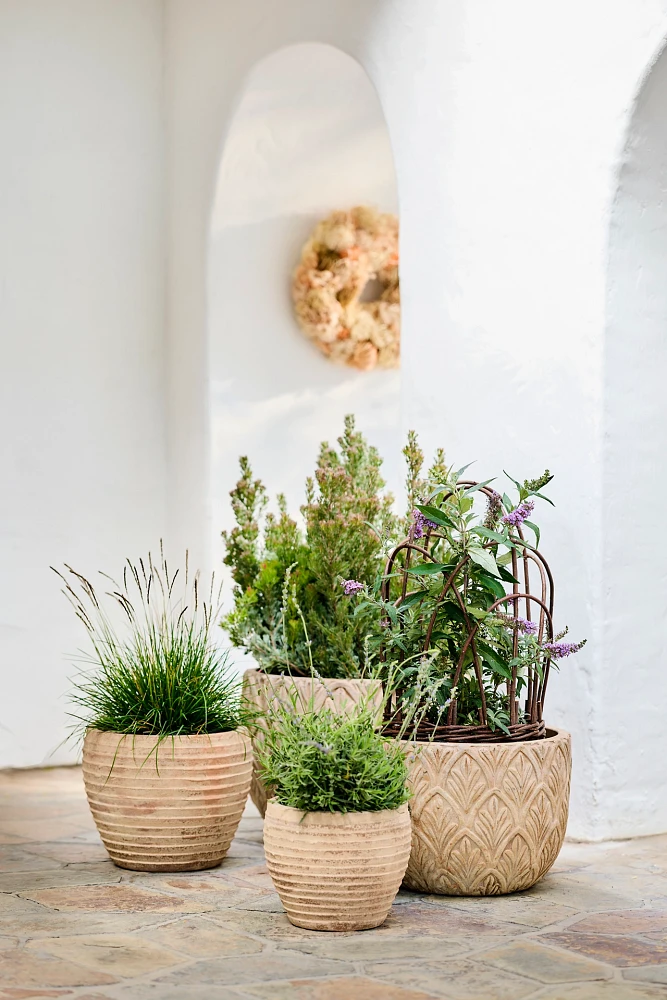 Antiqued Ring Ceramic Jar Planter