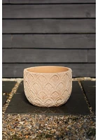 Paloma Ceramic Bowl Planter