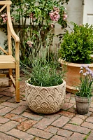 Paloma Ceramic Bowl Planter