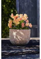 Paloma Ceramic Bowl Planter, 18"