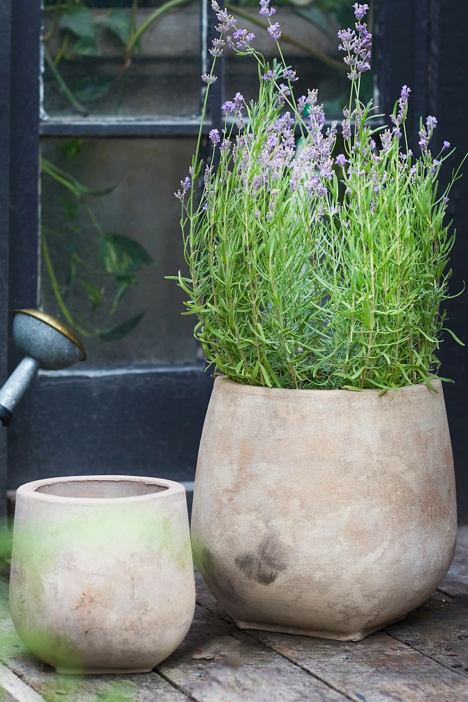 Aged Ceramic Planter, 8"