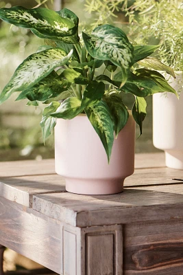 Ceramic Level Planter