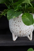 Pothos marble, Speckled Ceramic Pot