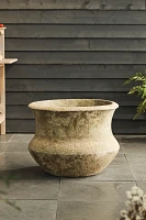 Barnacle Lotus Planter