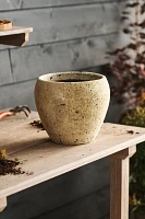 Barnacle Round Shoulder Planter, 9"