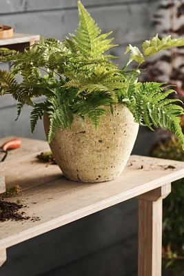 Barnacle Round Shoulder Planter, 9"