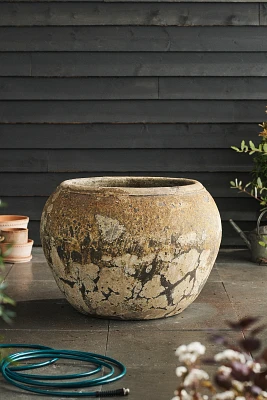 Barnacle Olla Pot