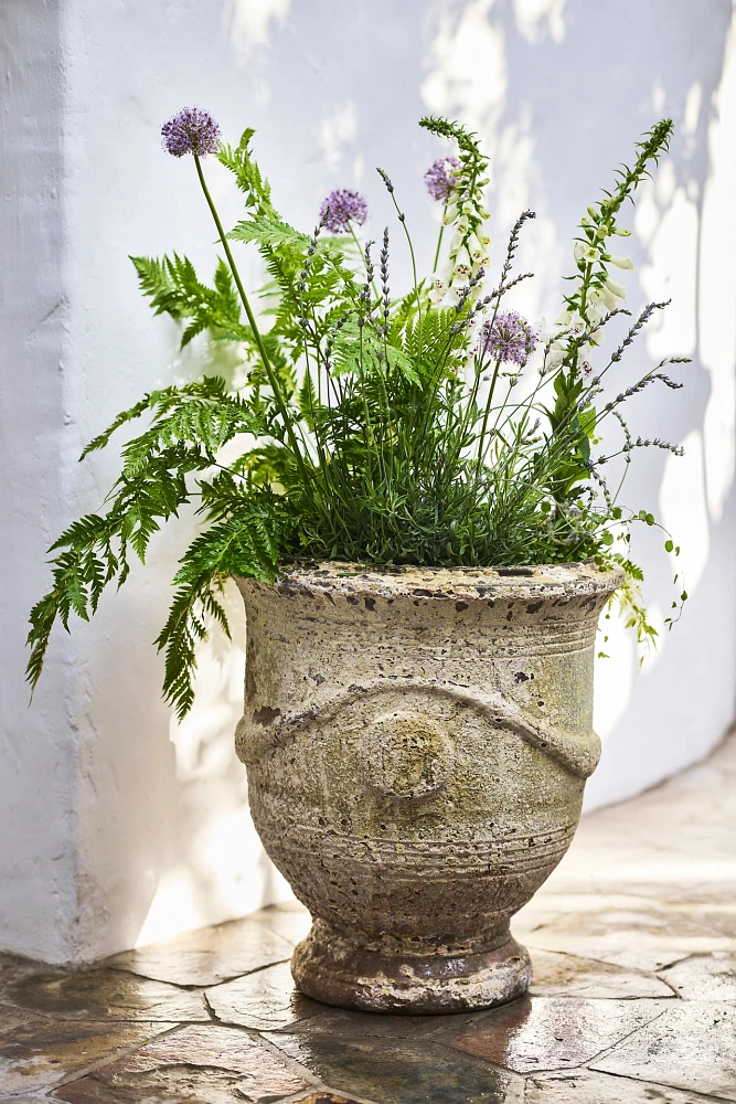 Barnacle French Urn