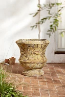 Barnacle Thistle Urn, 31"