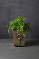 Ring Handle Iron Taper Planter