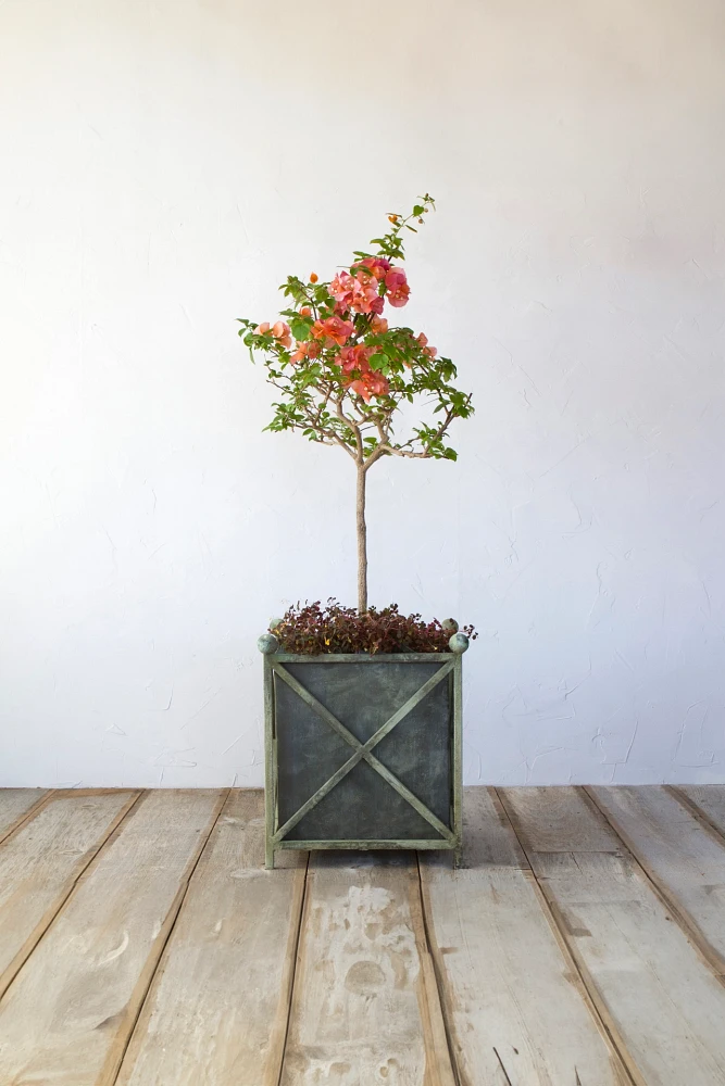 Cross Frame Iron Planter