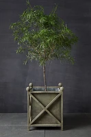 Cross Frame Iron Planter