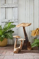 Teak Mushroom, Pair