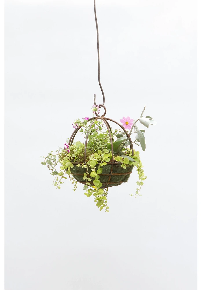 Sphere Hanging Basket