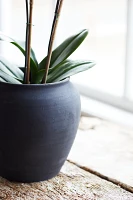 Charcoal Ceramic Rounded Planter