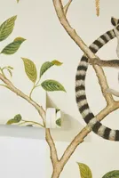 Sanderson Ringtail Lemur Wallpaper