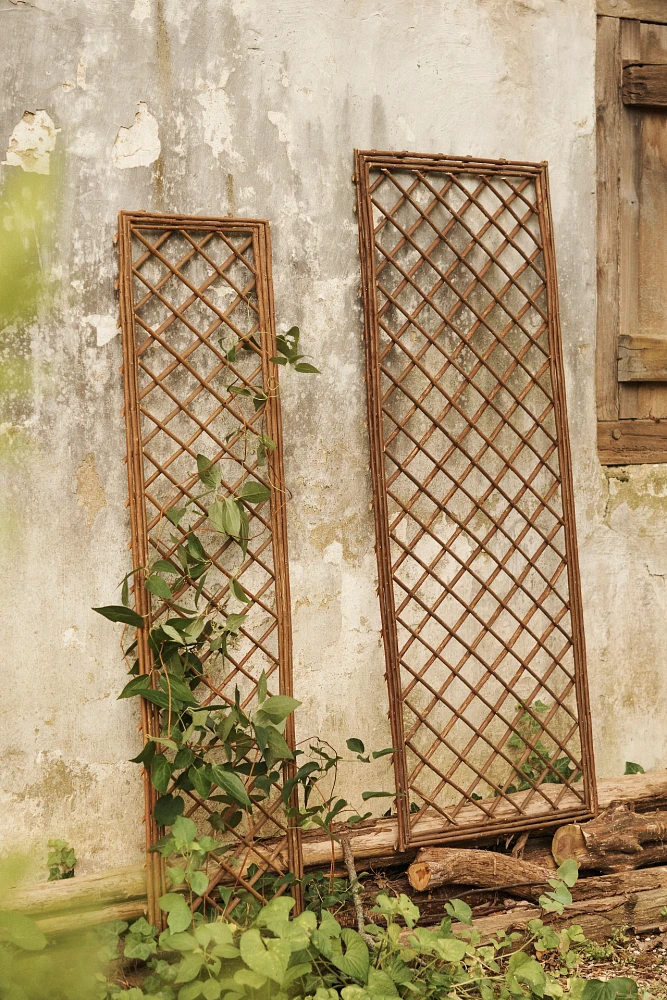 Rectangle Willow Trellis