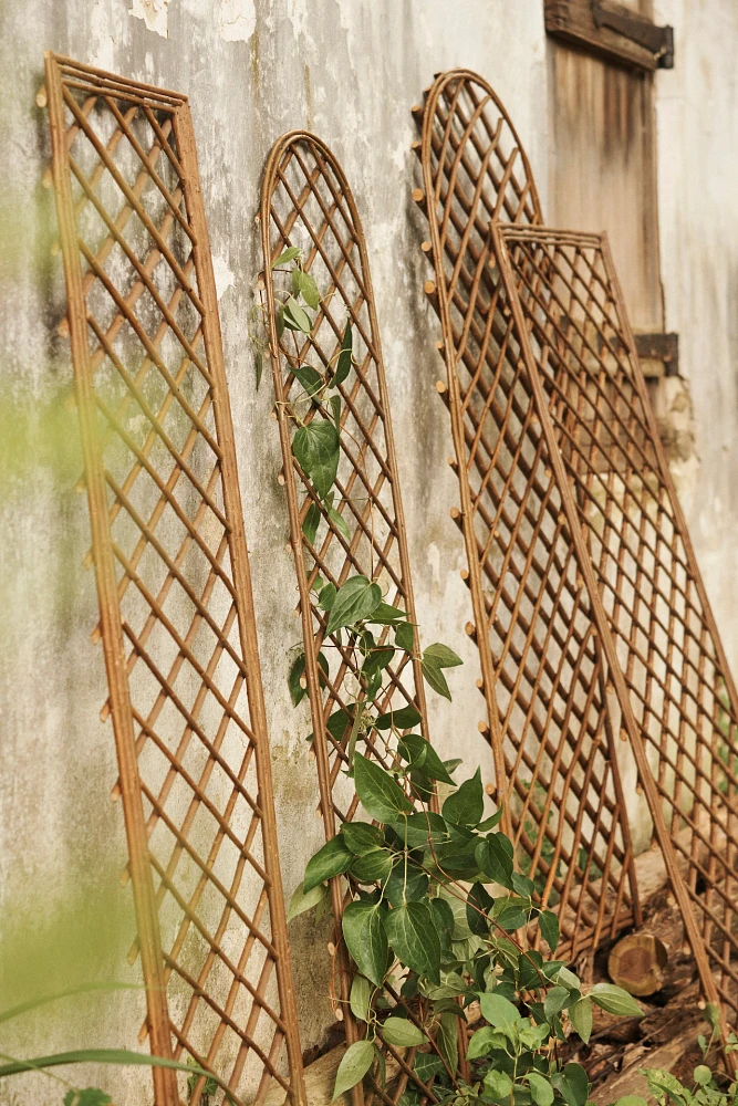 Rectangle Willow Trellis