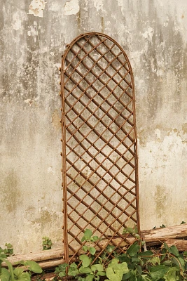 Rounded Top Willlow Trellis, Large