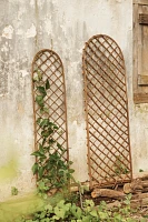 Rounded Top Willlow Trellis, Large