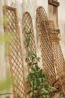 Rounded Top Willlow Trellis, Large