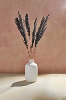 Preserved Pampas Grass, Black