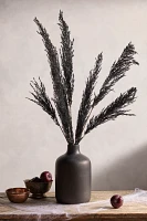 Preserved Pampas Grass, Black