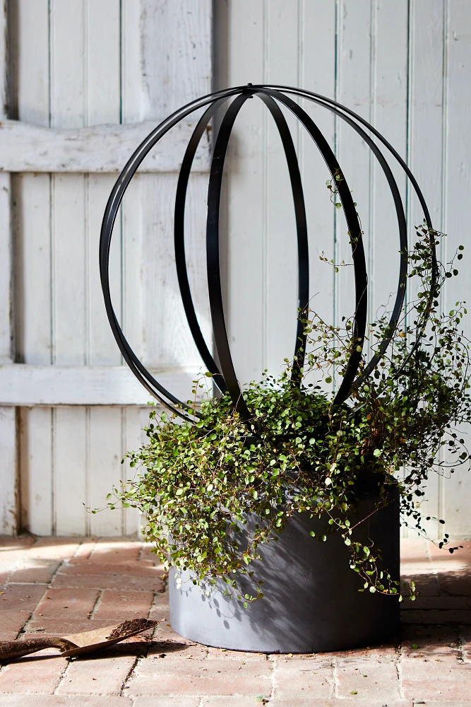 Sphere Topiary Frame