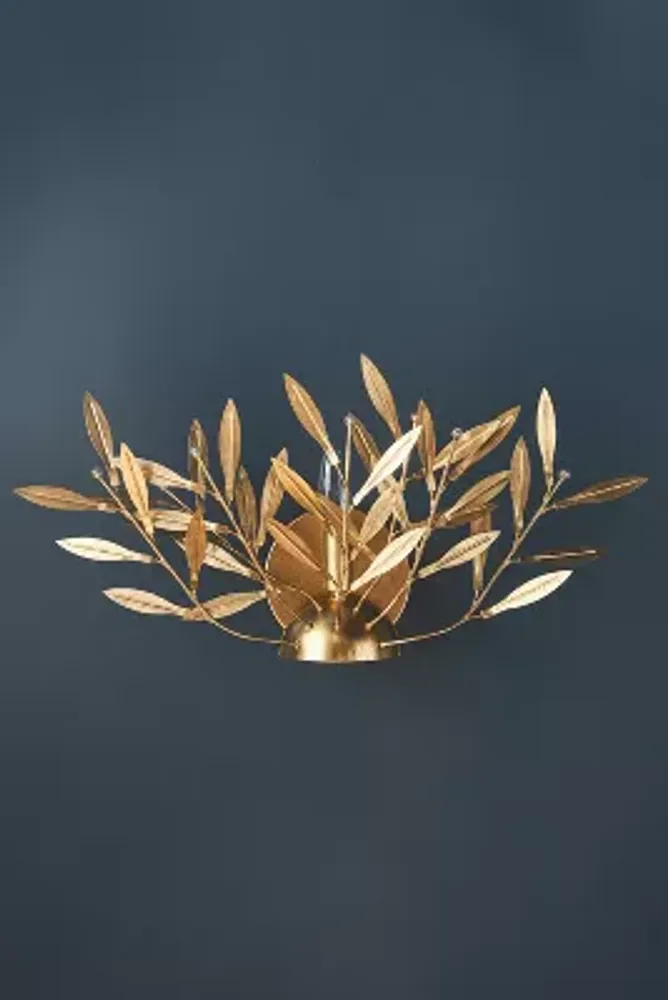 Willow Sconce