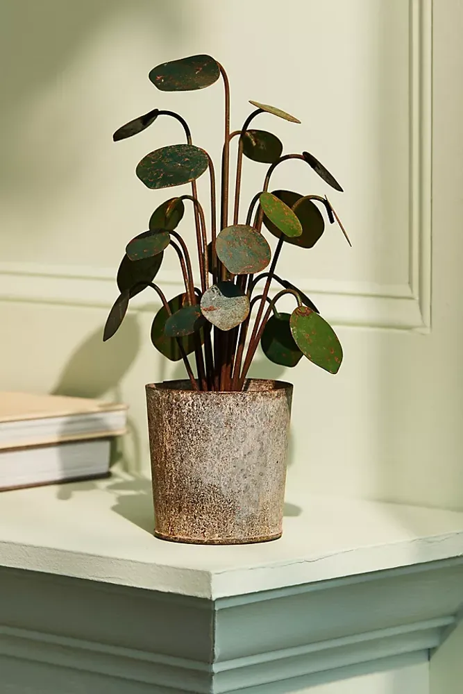 Potted Iron Houseplant