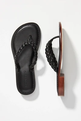 Bernardo Theo Thong Sandals