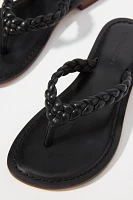 Bernardo Theo Thong Sandals