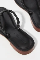 Bernardo Theo Thong Sandals