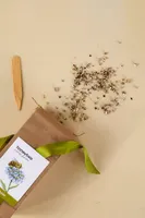 Honeybee Habitat Pollinator Seed Scatter