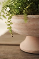 Wide Bowl Urn Planter