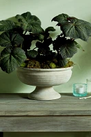 Wide Mouth Ceramic Urn Planter