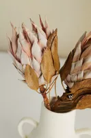 Dried King Protea Stems, Blush Set of 2