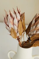 Dried King Protea Stems, Blush Set of 2