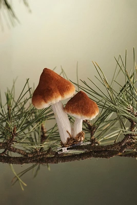 Mushroom Velvet Clip Ornament