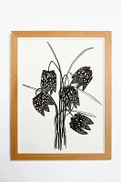 Fritillaria Wall Art