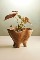 Fluted Mouth Footed Teak Bowl