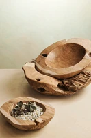 Teak Root Bowl Planter, 12"