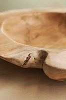 Teak Root Round Bowl Planter