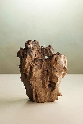 Teak Root Form Planter, 6"