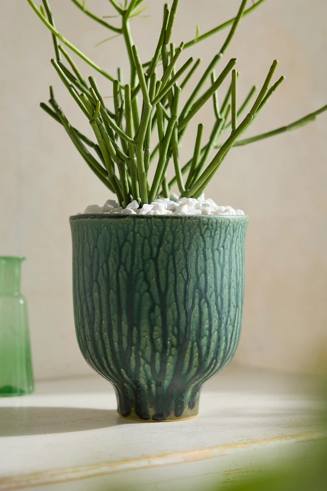 Drippy Ceramic Tulip Planter, 7"