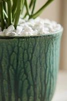 Drippy Ceramic Tulip Planter, 7"