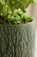 Drippy Ceramic Planter, 6"